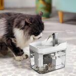 Hidratáló itatókút kisállatoknak | PETSPRINGLE - Image 5
