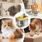 Hidratáló itatókút kisállatoknak | PETSPRINGLE - Image 7