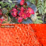 Gyerekbarát tudományos mikroszkóp | ZOOMORA - Image 3