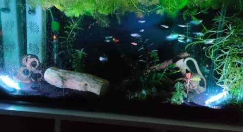 4 darabos vízálló RGB világító készlet + távirányító | AQUASHEIN photo review